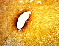Камера CMOS9 small.jpg