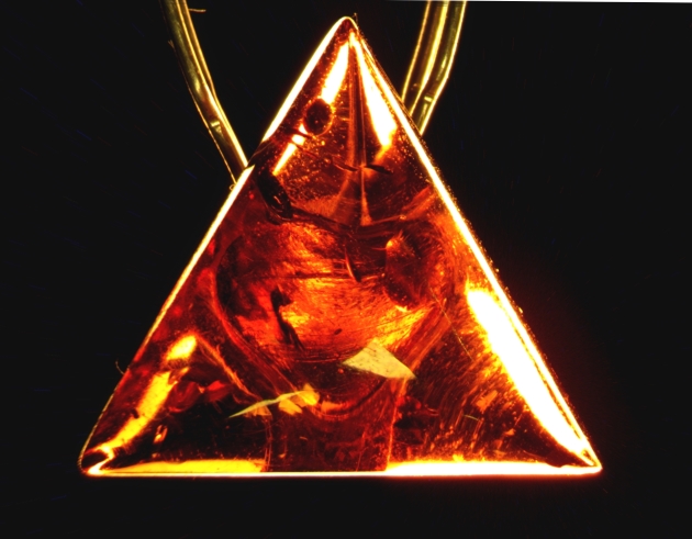 Amber 1(small) 2.jpg