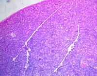 Камера CMOS5 small.jpg